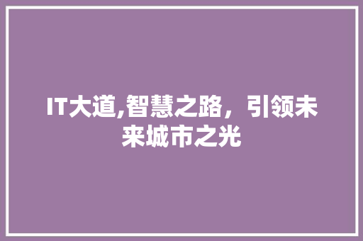 IT大道,智慧之路，引领未来城市之光