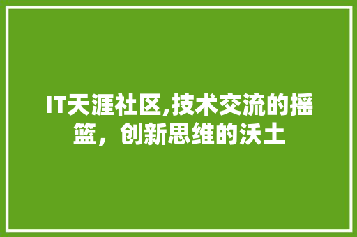 IT天涯社区,技术交流的摇篮，创新思维的沃土