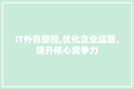 IT外包管控,优化企业运营，提升核心竞争力