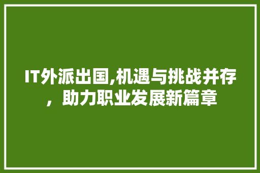 IT外派出国,机遇与挑战并存，助力职业发展新篇章