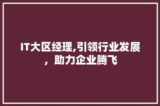 IT大区经理,引领行业发展，助力企业腾飞