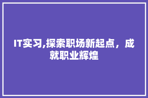 IT实习,探索职场新起点，成就职业辉煌