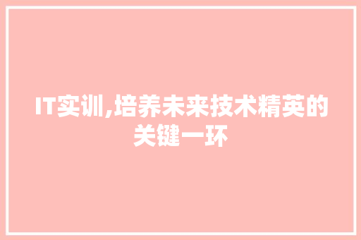 IT实训,培养未来技术精英的关键一环