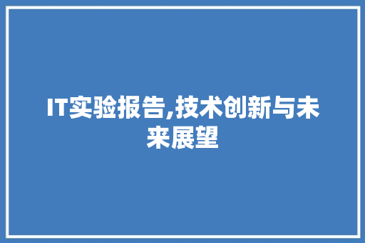 IT实验报告,技术创新与未来展望