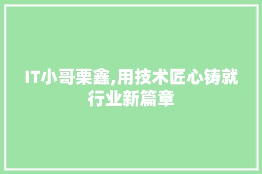 IT小哥栗鑫,用技术匠心铸就行业新篇章