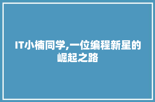 IT小楠同学,一位编程新星的崛起之路