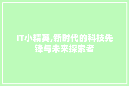 IT小精英,新时代的科技先锋与未来探索者