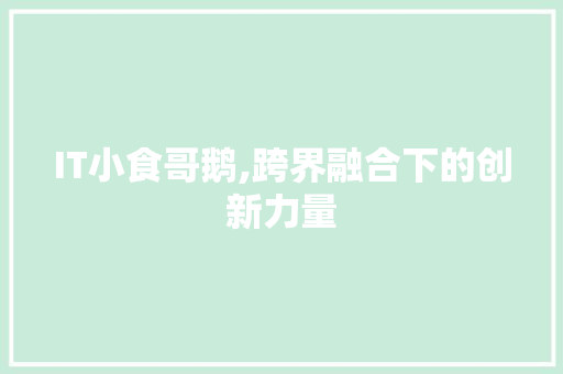 IT小食哥鹅,跨界融合下的创新力量