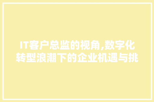 IT客户总监的视角,数字化转型浪潮下的企业机遇与挑战