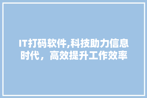 IT打码软件,科技助力信息时代，高效提升工作效率