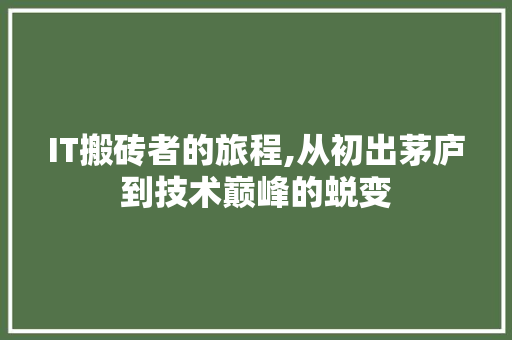 IT搬砖者的旅程,从初出茅庐到技术巅峰的蜕变