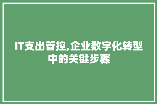 IT支出管控,企业数字化转型中的关键步骤