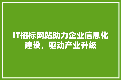 IT招标网站助力企业信息化建设，驱动产业升级