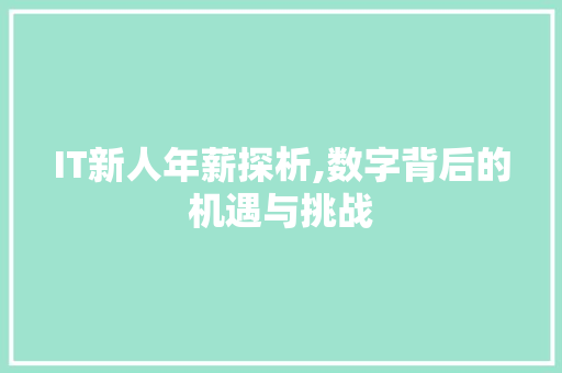 IT新人年薪探析,数字背后的机遇与挑战