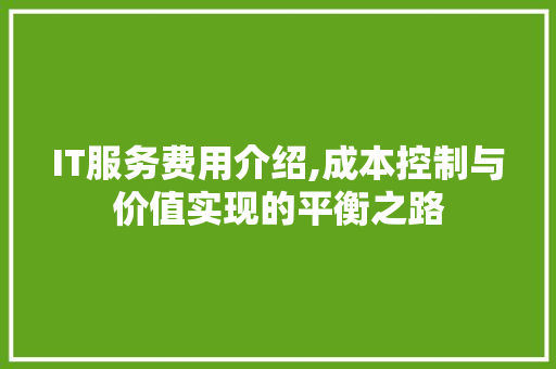 IT服务费用介绍,成本控制与价值实现的平衡之路