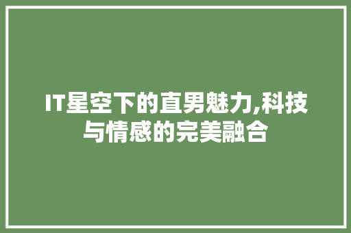 IT星空下的直男魅力,科技与情感的完美融合