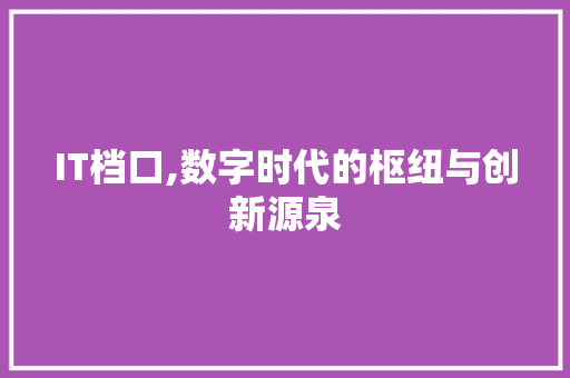 IT档口,数字时代的枢纽与创新源泉