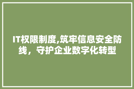 IT权限制度,筑牢信息安全防线，守护企业数字化转型