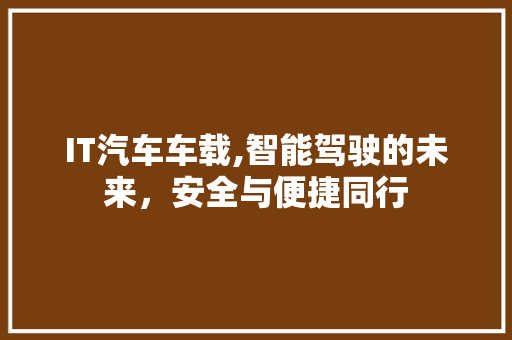 IT汽车车载,智能驾驶的未来，安全与便捷同行