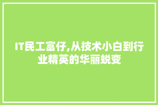 IT民工富仔,从技术小白到行业精英的华丽蜕变