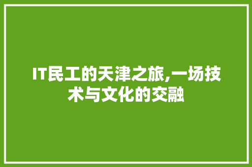 IT民工的天津之旅,一场技术与文化的交融