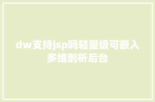 dw支持jsp吗轻量级可嵌入多维剖析后台