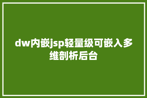 dw内嵌jsp轻量级可嵌入多维剖析后台