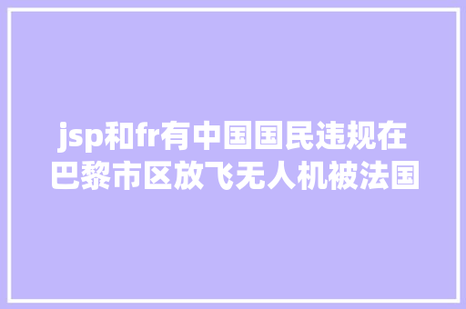 jsp和fr有中国国民违规在巴黎市区放飞无人机被法国警方处理中国驻法国使领馆提示