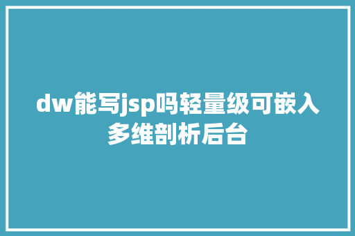 dw能写jsp吗轻量级可嵌入多维剖析后台