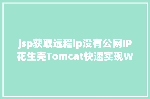 jsp获取远程ip没有公网IP花生壳Tomcat快速实现Web治理长途外网拜访