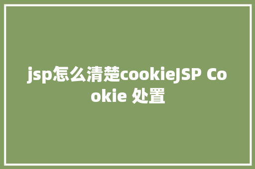 jsp怎么清楚cookieJSP Cookie 处置 GraphQL