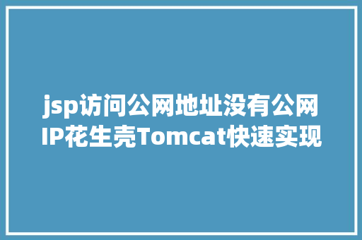 jsp访问公网地址没有公网IP花生壳Tomcat快速实现Web治理长途外网拜访