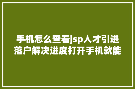 手机怎么查看jsp人才引进落户解决进度打开手机就能查→