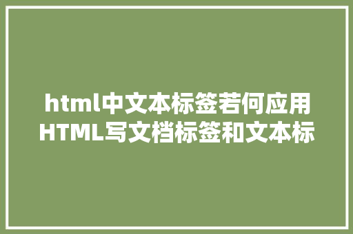 html中文本标签若何应用HTML写文档标签和文本标签 PHP