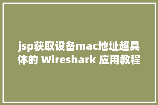 jsp获取设备mac地址超具体的 Wireshark 应用教程