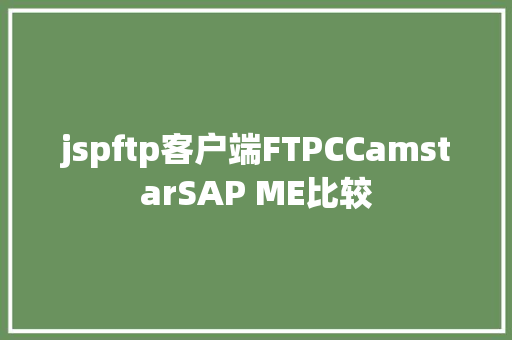 jspftp客户端FTPCCamstarSAP ME比较