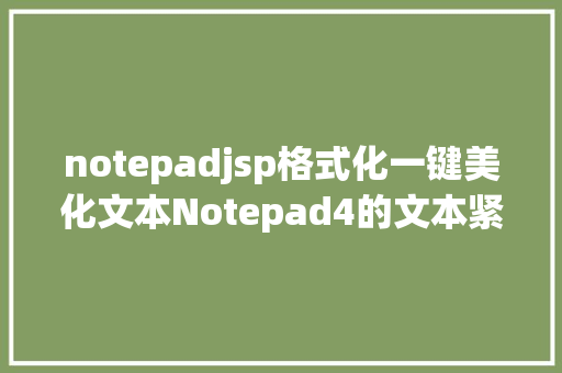 notepadjsp格式化一键美化文本Notepad4的文本紧缩与格局化功效