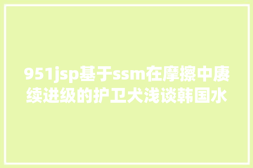 951jsp基于ssm在摩擦中赓续进级的护卫犬浅谈韩国水师的近海巡逻舰队