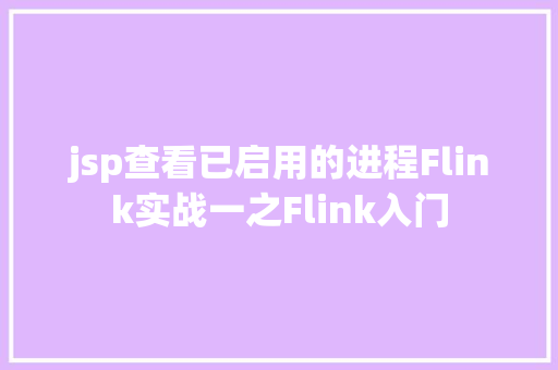 jsp查看已启用的进程Flink实战一之Flink入门