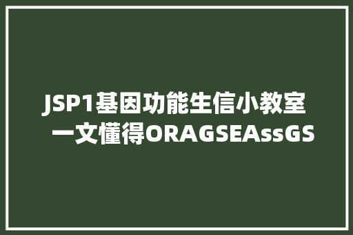 JSP1基因功能生信小教室  一文懂得ORAGSEAssGSEA