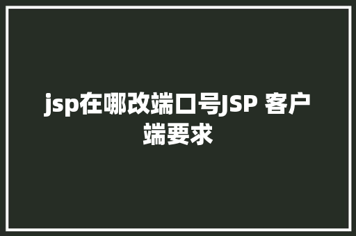 jsp在哪改端口号JSP 客户端要求 Webpack