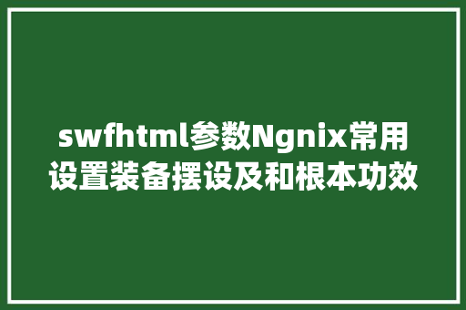 swfhtml参数Ngnix常用设置装备摆设及和根本功效讲授