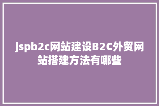 jspb2c网站建设B2C外贸网站搭建方法有哪些