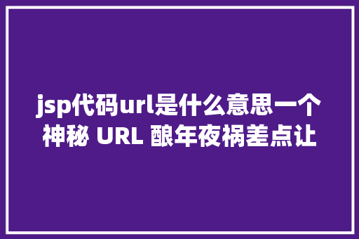 jsp代码url是什么意思一个神秘 URL 酿年夜祸差点让我背锅