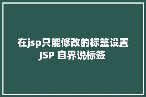 在jsp只能修改的标签设置JSP 自界说标签 Vue.js