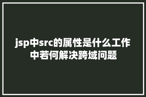 jsp中src的属性是什么工作中若何解决跨域问题 Webpack