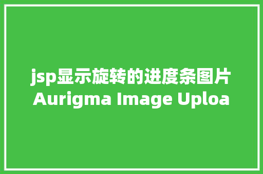 jsp显示旋转的进度条图片Aurigma Image Uploader的ActiveX / JAVA图像文件上传控件概述 Java