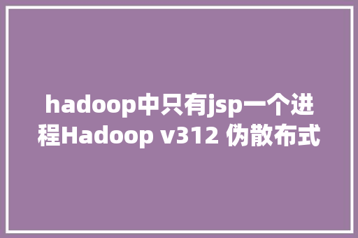 hadoop中只有jsp一个进程Hadoop v312 伪散布式安装PseudoDistributed Operation