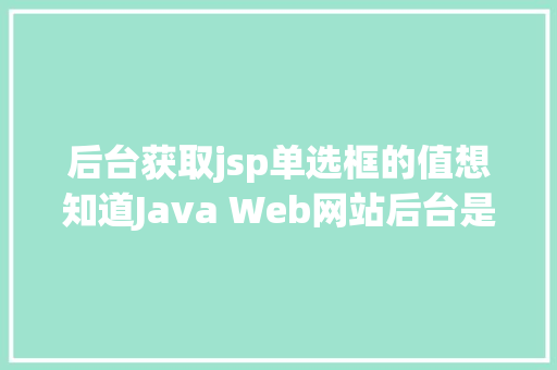 后台获取jsp单选框的值想知道Java Web网站后台是若何获取我们提交的信息吗看这里 CSS