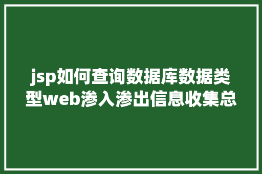 jsp如何查询数据库数据类型web渗入渗出信息收集总结版